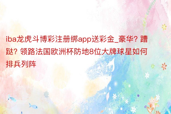 iba龙虎斗博彩注册绑app送彩金_豪华? 蹧跶? 领路法国欧洲杯防地8位大牌球星如何排兵列阵
