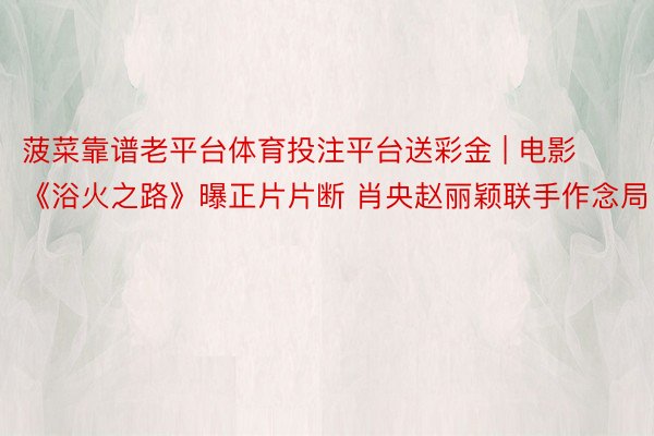 菠菜靠谱老平台体育投注平台送彩金 | 电影《浴火之路》曝正片片断 肖央赵丽颖联手作念局